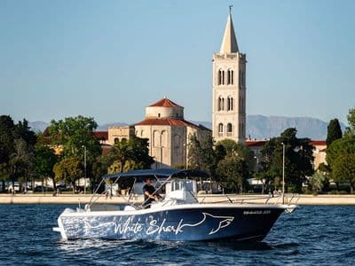 Kockpit White Shark 265 — Zadar