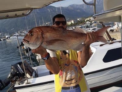 Tuna III - gost s ulovljenim zubatcem u marini