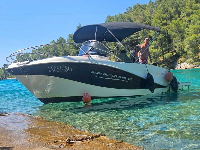 Zozy Club - Barracuda 595SD