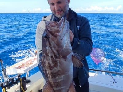 Gost s krupnim ulovljenim kirnjem (dogtooth grouper)
