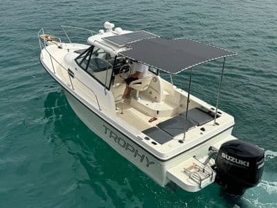 Bayliner Trophy motorni brod Starigrad Paklenica