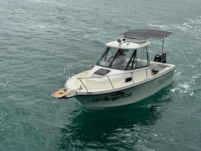 Bayliner Trophy motorni brod Starigrad Paklenica