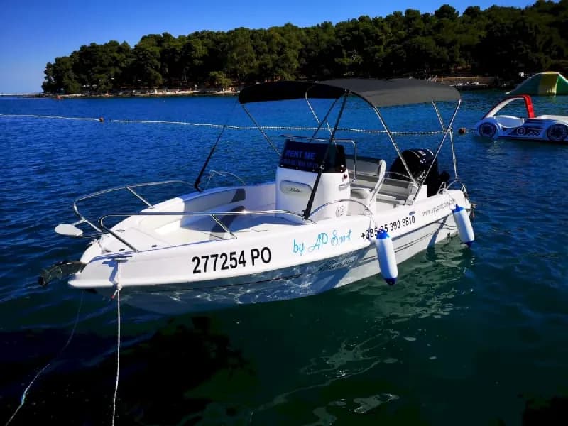 Fisherman Blue Line 115HP - Rent a Boat Poreč