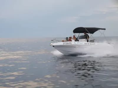 Fisherman Blue Line 115HP - Rent a Boat Poreč
