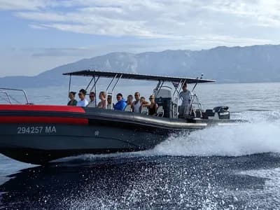 Narwhal Orca 1000 iz zraka