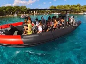 Narwhal Orca gumenjak