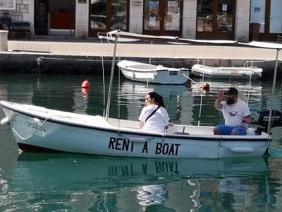 Pasara u luci Vrboska