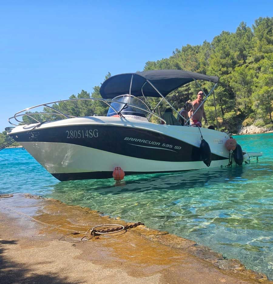 Zozy Club - Barracuda 595SD