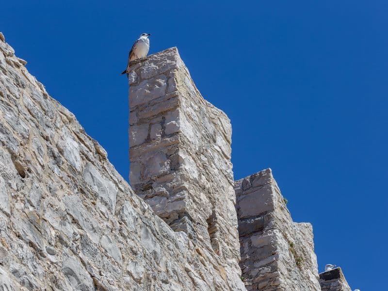 Medieval city walls of Novigrad, Istria, Croatia